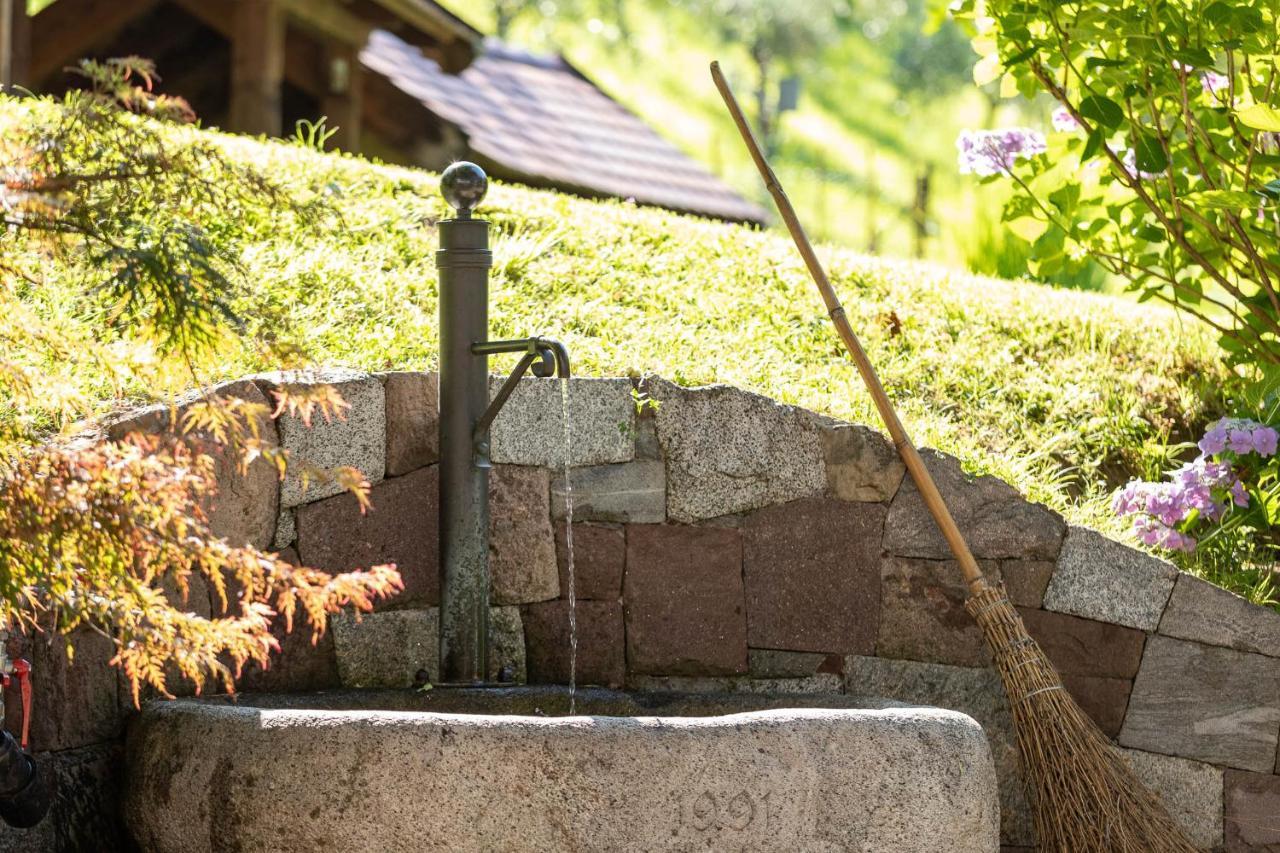 Der Ladurner Hof - Wohnen Am Weinberg Leilighet Merano Eksteriør bilde