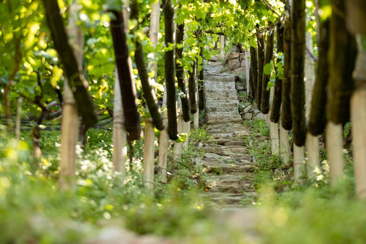 Der Ladurner Hof - Wohnen Am Weinberg Leilighet Merano Eksteriør bilde